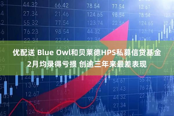优配送 Blue Owl和贝莱德HPS私募信贷基金2月均录得亏损 创逾三年来最差表现